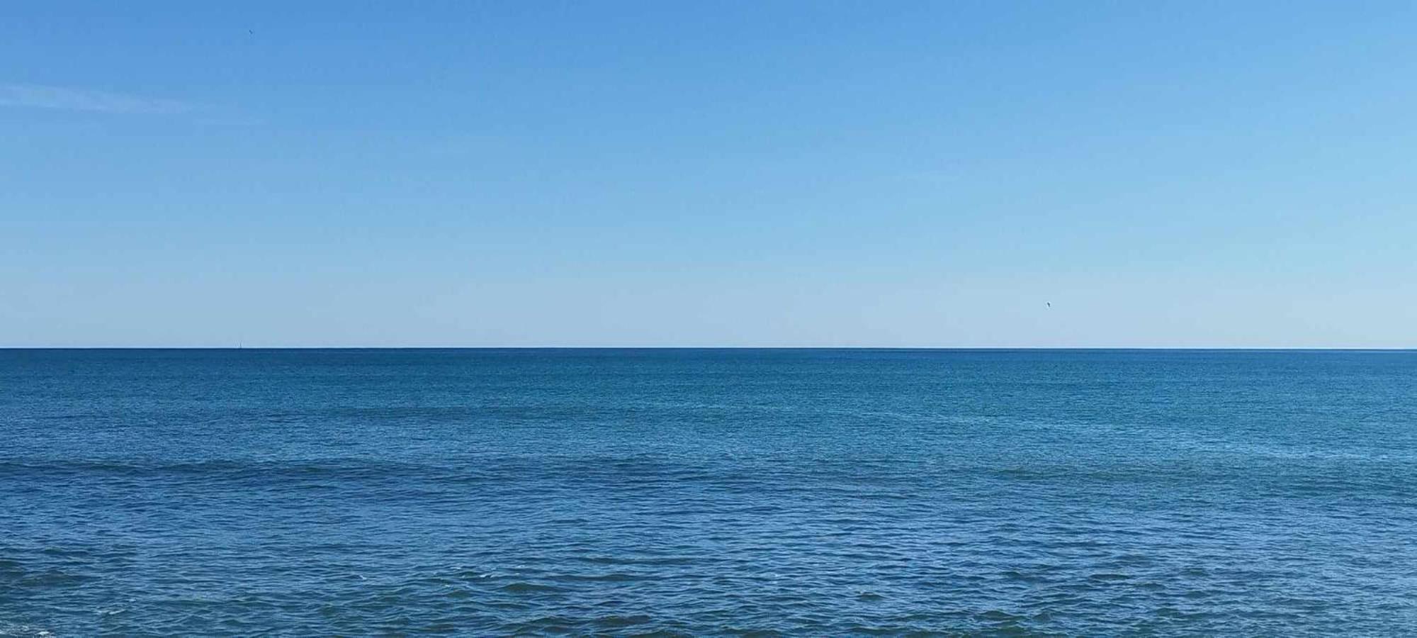 Seaview Playa Del Cura 50M Torrevieja Citycentre Apartment Eksteriør bilde