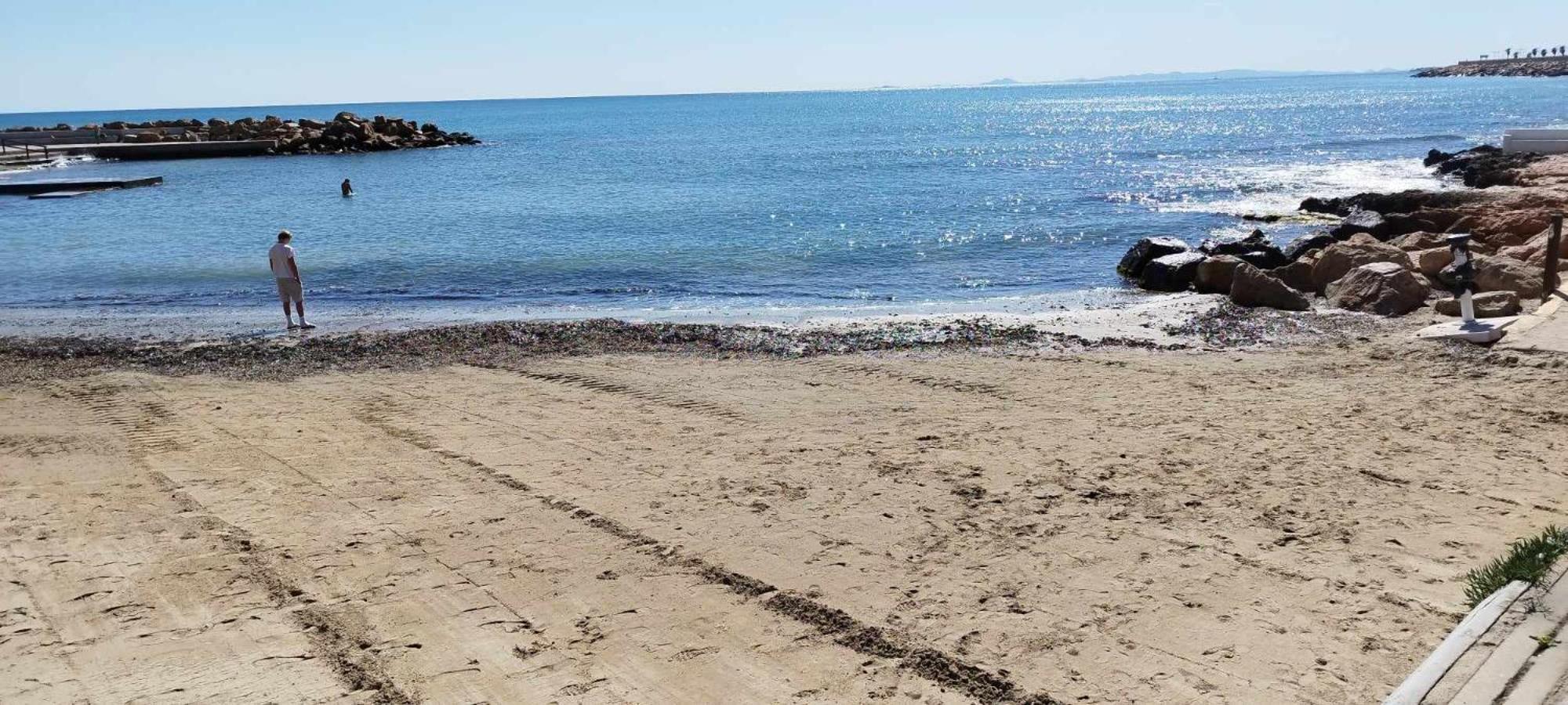 Seaview Playa Del Cura 50M Torrevieja Citycentre Apartment Eksteriør bilde